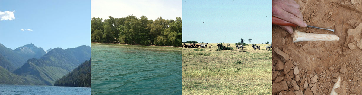 header image collage