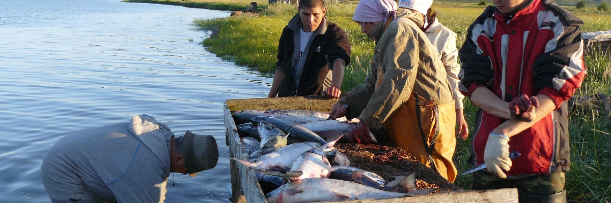 fish and five people