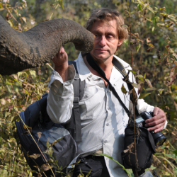 David Raubenheimer